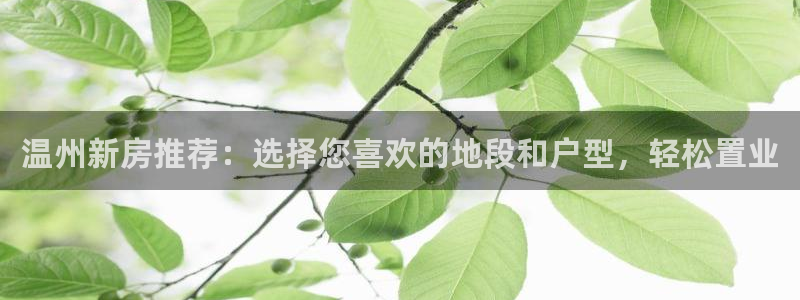 新宝5登录平台：温州新房推荐：选择您喜欢的地段和户型，轻松置