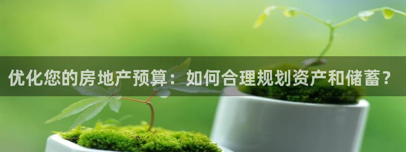 新宝5娱乐家：优化您的房地产预算：如何合理规划资产和储蓄？