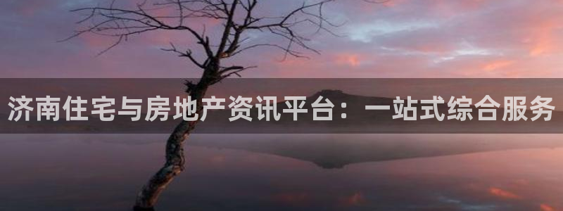 新宝5天：济南住宅与房地产资讯平台：一站式综合服务