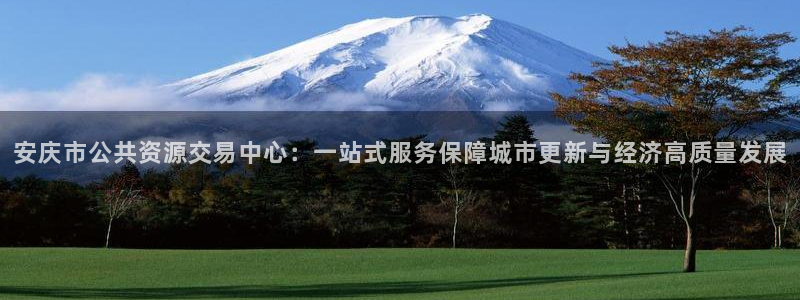 新宝5手机app：安庆市公共资源交易中心：一站式服务保障城市