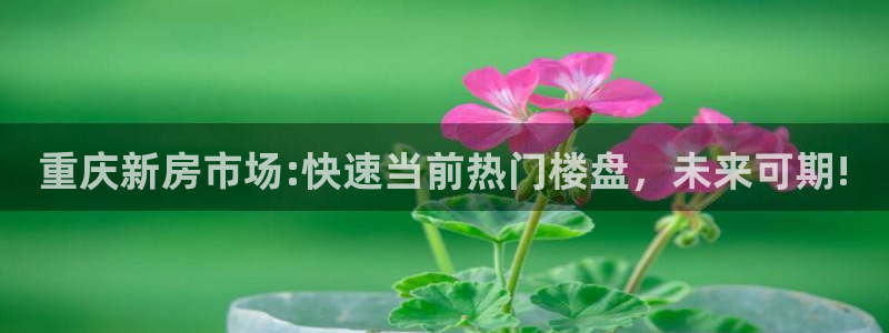 新宝5 注册：重庆新房市场:快速当前热门楼盘，未来可期!