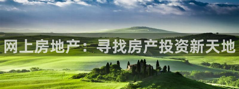 新宝5内部：网上房地产：寻找房产投资新天地