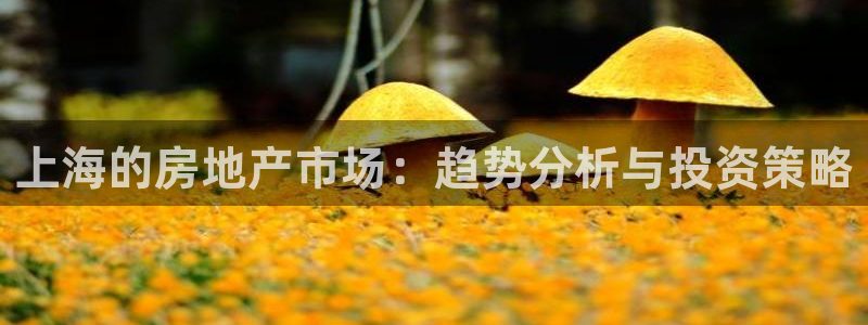 新宝5 - 测速登陆：上海的房地产市场：趋势分析与投资策略