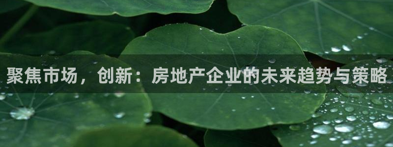 新宝5-：聚焦市场，创新：房地产企业的未来趋势与策略