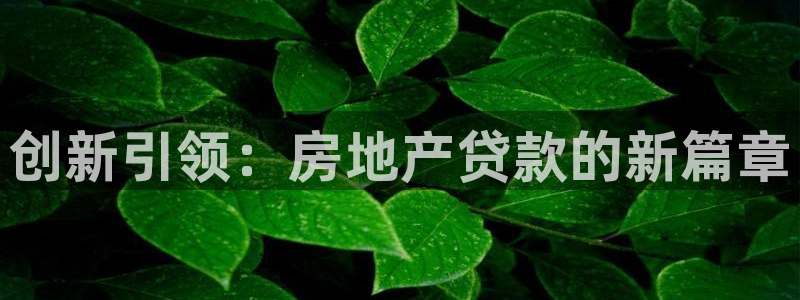 新宝5地址：创新引领：房地产贷款的新篇章