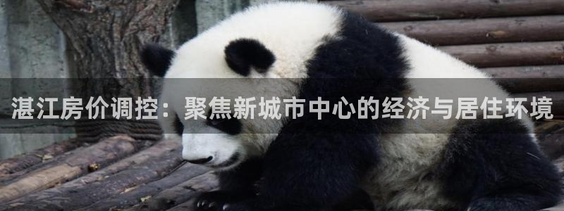 新宝5台卡：湛江房价调控：聚焦新城市中心的经济与居住环境