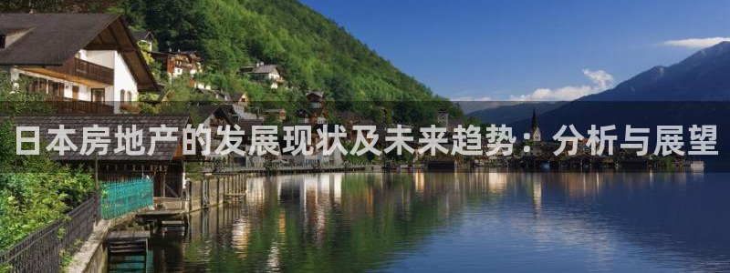 新宝那2O5O5O：日本房地产的发展现状及未来趋势：分析与展