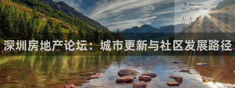 新宝5安卓版：深圳房地产论坛：城市更新与社区发展路径
