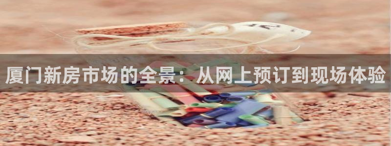 新宝5官方登录入口：厦门新房市场的全景：从网上预订到现场体验