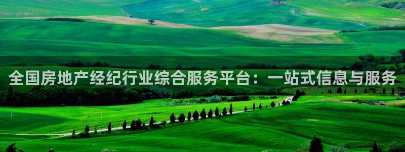 新宝5是什么样子的：全国房地产经纪行业综合服务平台：一站式信