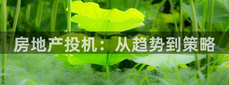 新宝3得74OO5：房地产投机：从趋势到策略