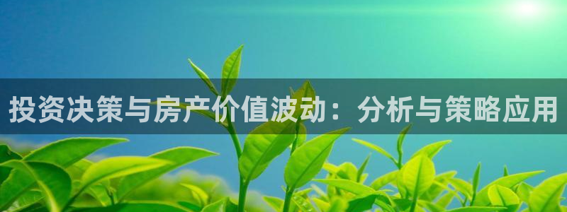 有人知道新宝5么：投资决策与房产价值波动：分析与策略应用