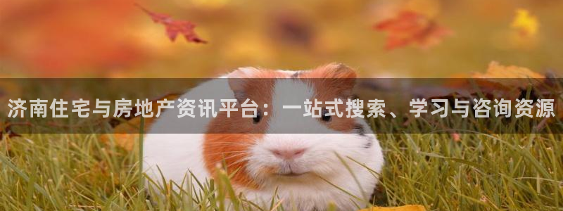 新宝5授权：济南住宅与房地产资讯平台：一站式搜索、学习与咨询