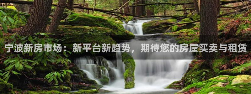 新宝5的网址：宁波新房市场：新平台新趋势，期待您的房屋买卖与