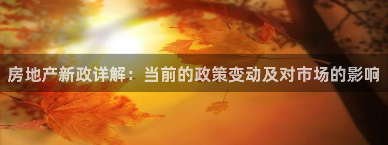 新宝5唯一：房地产新政详解：当前的政策变动及对市场的影响