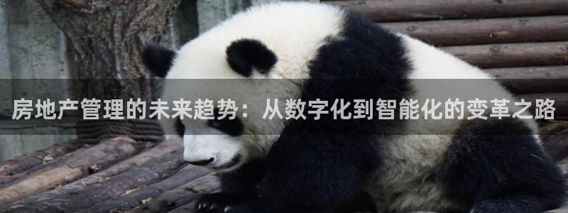 新宝5娱乐方：房地产管理的未来趋势：从数字化到智能化的变革之