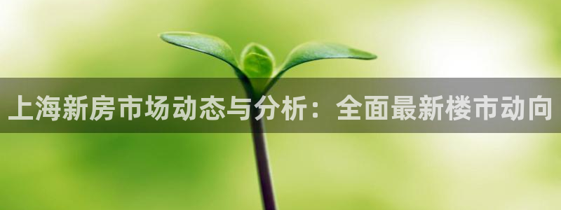 新宝5登录霸：上海新房市场动态与分析：全面最新楼市动向