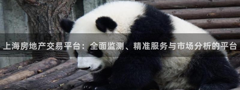 新宝5彩票娱乐平台：上海房地产交易平台：全面监测、精准服务与