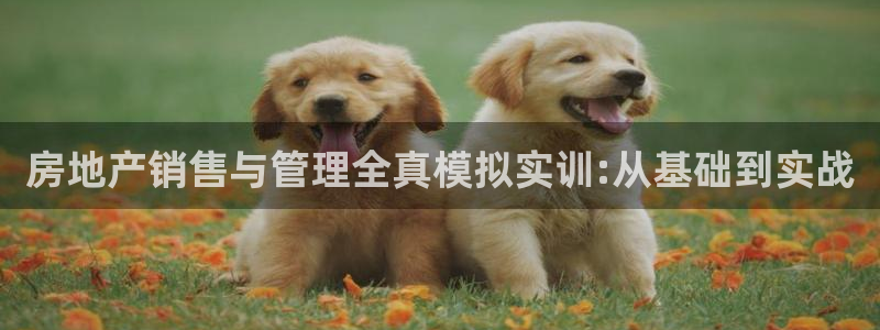 新宝5手机下载：房地产销售与管理全真模拟实训:从基础到实战