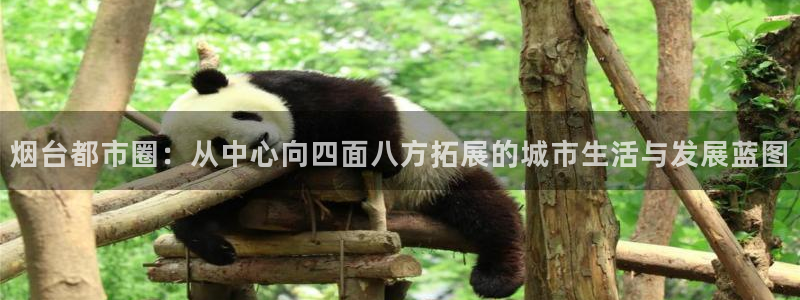 新宝5是什么样子的：烟台都市圈：从中心向四面八方拓展的城市生