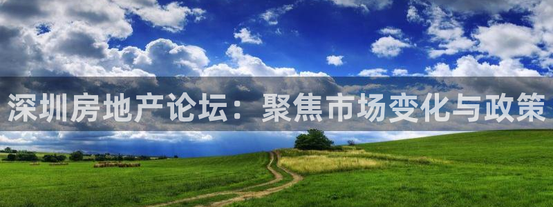 新宝5安卓版：深圳房地产论坛：聚焦市场变化与政策
