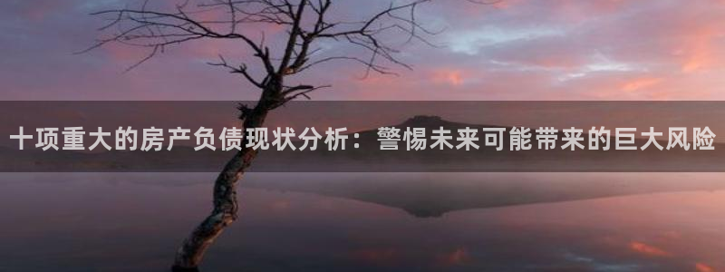 新宝5测：十项重大的房产负债现状分析：警惕未来可能带来的巨大