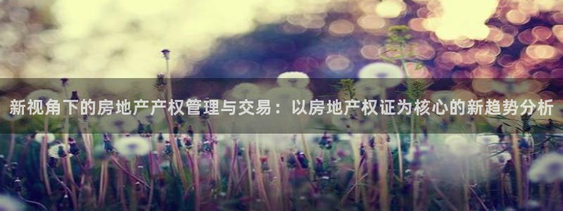 新宝5郑74OOO5：新视角下的房地产产权管理与交易：以房地