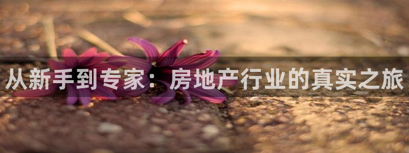 新宝5 - 测速登陆：从新手到专家：房地产行业的真实之旅